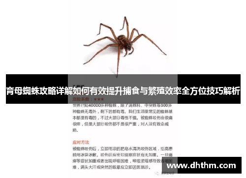 育母蜘蛛攻略详解如何有效提升捕食与繁殖效率全方位技巧解析
